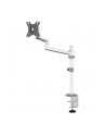NEOMOUNTS BY NEWSTAR Screen Desk Mount 17-27inch clamp+grommet 1 screen White - nr 38