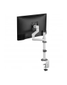 NEOMOUNTS BY NEWSTAR Screen Desk Mount 17-27inch clamp+grommet 1 screen White - nr 41