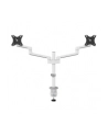 NEOMOUNTS BY NEWSTAR Screen Desk Mount clamp+grommet - nr 28