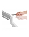 NEOMOUNTS BY NEWSTAR Desk Mount 1 Ultra Wide Curved screen top fix clamp ' grommet - nr 48