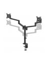 NEOMOUNTS BY NEWSTAR Screen Desk Mount 17-27inch clamp+grommet 2 screens Black - nr 26