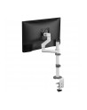 NEOMOUNTS BY NEWSTAR Screen Desk Mount 17-27inch clamp+grommet 1 screen White - nr 37