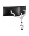 NEOMOUNTS BY NEWSTAR Screen Desk Mount clamp+grommet - nr 30