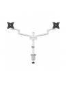 NEOMOUNTS BY NEWSTAR Screen Desk Mount clamp+grommet - nr 37