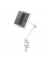 NEOMOUNTS BY NEWSTAR Tablet Desk Clamp suited from 4.7inch up to 12.9inch White - nr 40