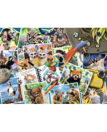 ravensburger RAV puzzle 1000 Zwierzęta świata 17322