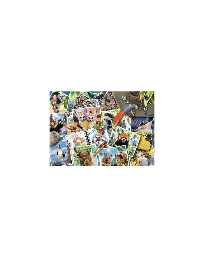ravensburger RAV puzzle 1000 Zwierzęta świata 17322 główny