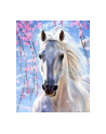 norimpex Malowanie po numer.Koń biały 1007632 - nr 1