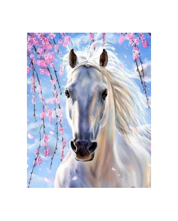 norimpex Malowanie po numer.Koń biały 1007632