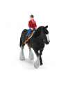 schleich SLH końska stajnia 42485 29912 - nr 3