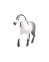 schleich SLH Andaluzyjski ogier 13821 25568 - nr 1