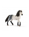 schleich SLH Andaluzyjski ogier 13821 25568 - nr 2