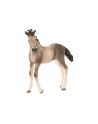 schleich SLH źrebię rasy Andaluzyjskiej 13822 25575 - nr 1