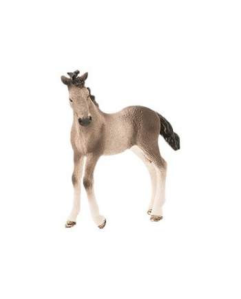 schleich SLH źrebię rasy Andaluzyjskiej 13822 25575