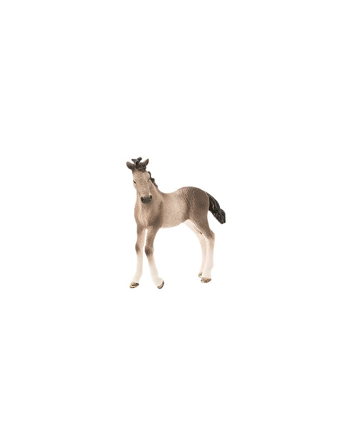 schleich SLH źrebię rasy Andaluzyjskiej 13822 25575 główny