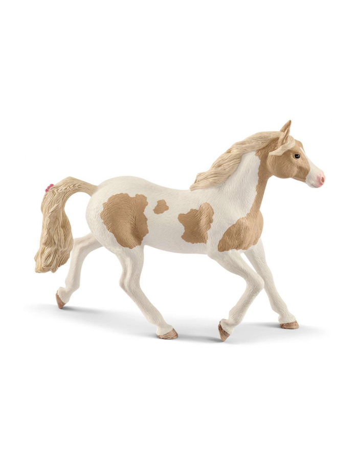 schleich SLH koń Paint Horse klacz 13884 25636 główny