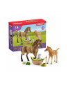 schleich SLH zestaw piel.Quarter Horse+źrebię 42432 50847 - nr 1