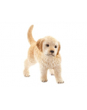 schleich SLH Golden Retriever szczeniak 14'' 16396 34967 - nr 1