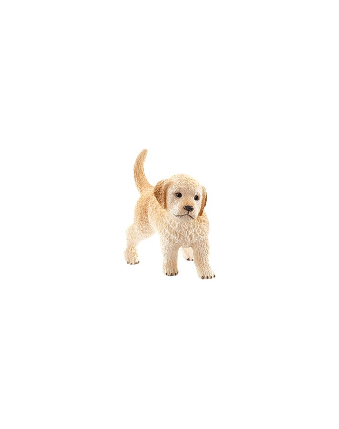 schleich SLH Golden Retriever szczeniak 14'' 16396 34967 główny