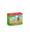 schleich SLH kowbojki i łapanie na lasso 42577 73048 - nr 5