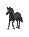 schleich SLH kowbojka i wyścig wokół beczek 42576 73734 - nr 1