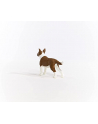 schleich SLH Bulterier 13966 90847 - nr 7