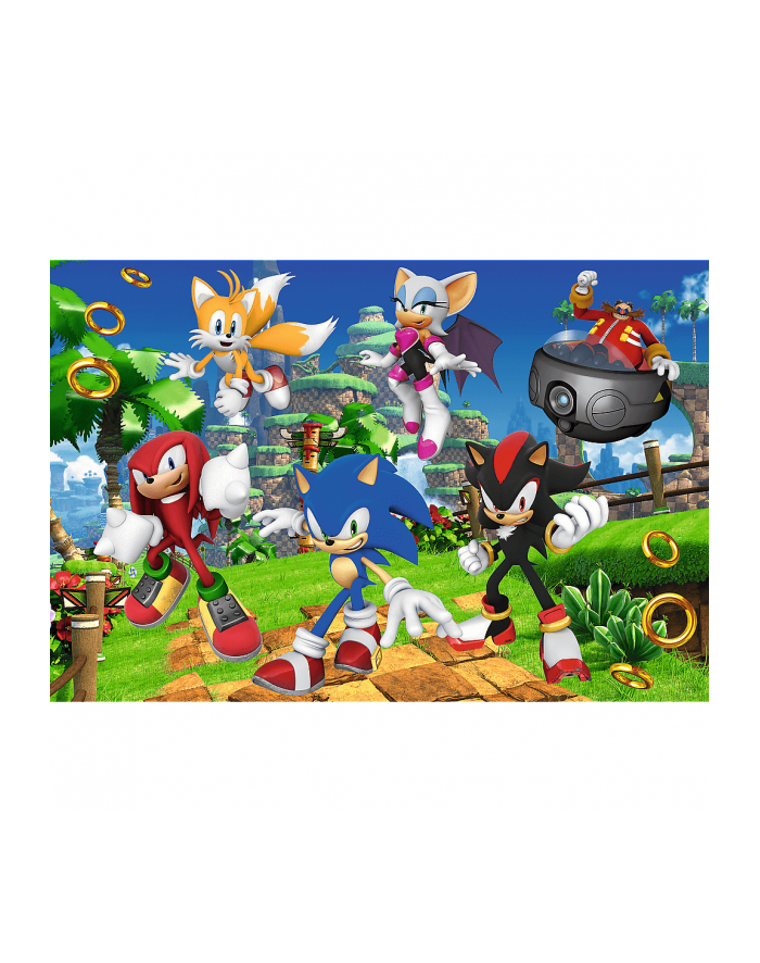 trefl PUZZLE 160 Sonic i przyjaciele / SEGA Sonic 15421 główny