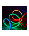 Nedis Neonowa Taśma Led Smartlife , 5M (Wifiln51Crgb) - nr 16