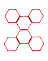 Pure2Improve Hexagon Agility Grid Red - nr 3