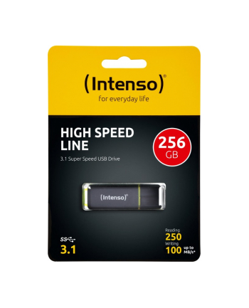 Intenso 256GB (3537492)