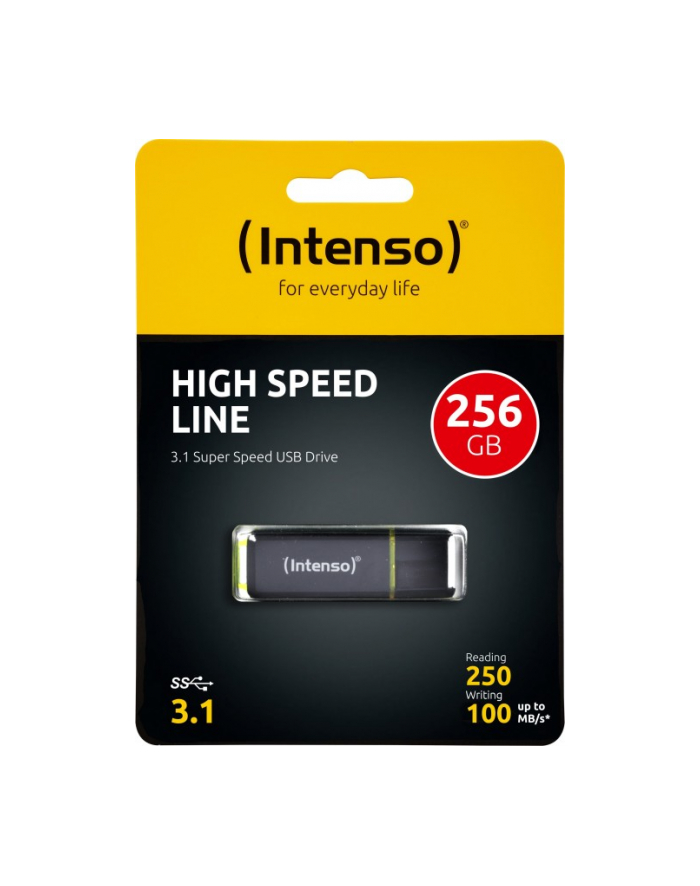 Intenso 256GB (3537492) główny