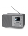 Technisat Radio DigitRadio 307 BT Srebrny - nr 6