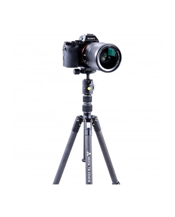 VANGUARD VESTA TB 204CB nr 2