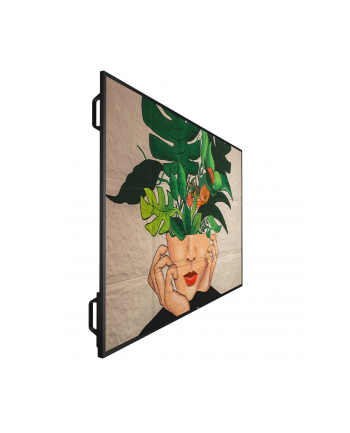 Philips D Line 65Bdl4511D/00 (65Bdl4511D00) nr 2