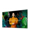 Monitor Samsung QM55C 840 x 2160 UHD  WiFi/BT - nr 4