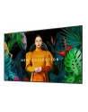 Monitor Samsung QM75C - nr 4