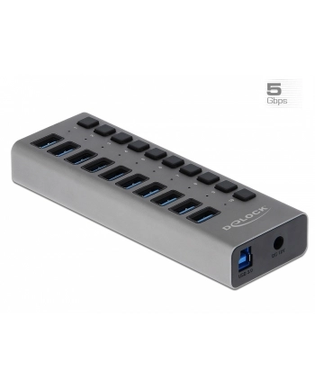 Delock Externer SuperSpeed mit 10 Ports + Schalter (63670) nr 1