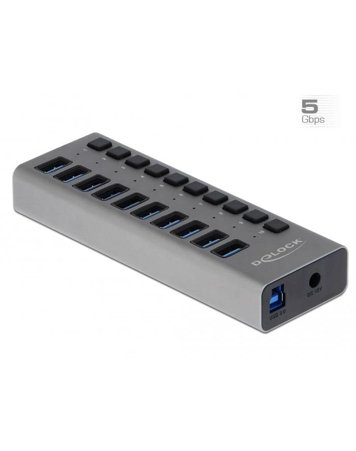 Delock Externer SuperSpeed mit 10 Ports + Schalter (63670) główny
