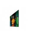 Samsung QH55C - nr 39