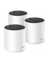 TP-LINK DECO X55 3-PACK - nr 39