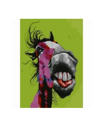 norimpex Malowanie po numerach 40x50cm Zwariowany koń 1008980