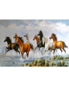 norimpex Diamentowa mozaika Galop koni na wybrzeżu, folia 80x40cm 1009034 - nr 1