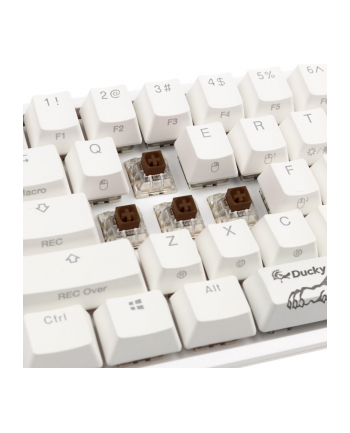 Ducky One 2 Pro Mini Kailh Brown RGB (DKON2061STKUSPDWWTK2)