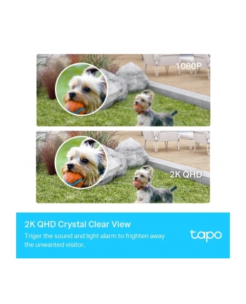 Tp Link Tp Link Tapo C420S1 V1 (TAPOC420S1)