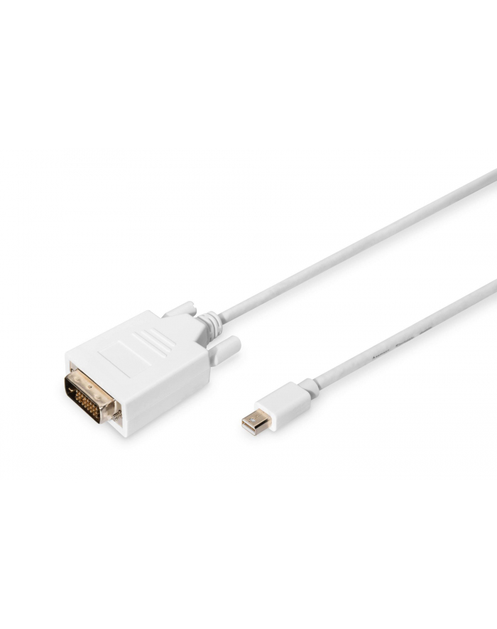 Kabel DisplayPort DIGITUS DP mini/M - DVI-D (24+1) /M, 1m główny