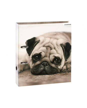 starpak Segregator A4 70 Psy 480718