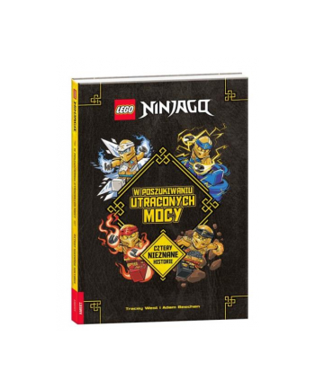 ameet Książeczka LEGO NINJAGO. W POSZUKIWANIU UTRACONYCH MOCY GMG-6701