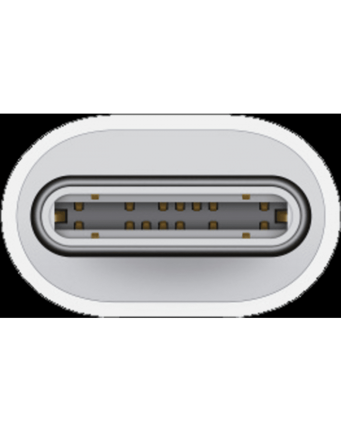 apple Przejściówka z USB-C na Lightning główny