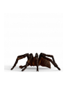 Schleich 13987 Aragog - nr 14