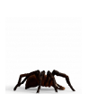 Schleich 13987 Aragog - nr 8